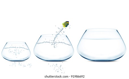 Angle Fish Jumping To Big Bowl, Good Concept For New Life, Big Opportunity, Ambition And Challenge Concept.