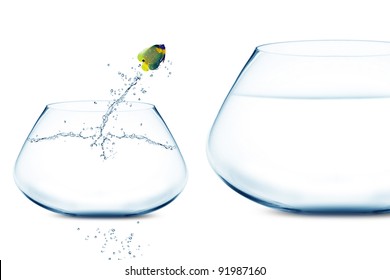 Angle Fish Jumping Into Bigger Fishbowl.