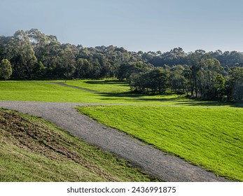 Angled Paths Form A Zig Zag