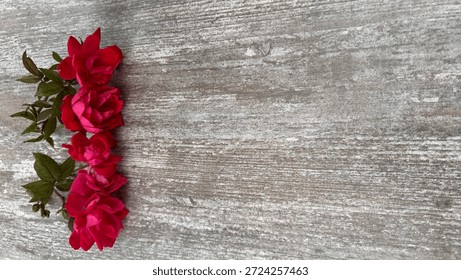 Angled Top View Of Five Hot Pink Roses With Clipped Stems And Dark Green Leaves Lying On Their Side Next To Each Other Framing Left Side Of Grey And White Patterned Surface 
