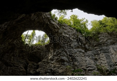 An angled view from inside a cave, looking out towards a lush forest scape of green trees