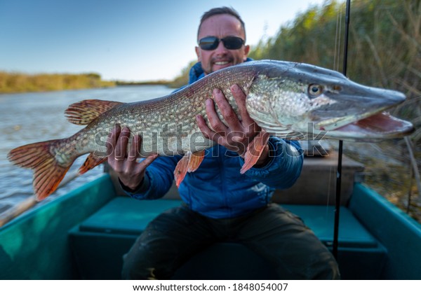Angler\
with pike fish. Amateur fisherman holds trophy pike (Esox lucius)\
and sits in the boat with river on the\
background