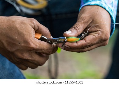 Angler tying a fishing hook to rubber worm lure - Powered by Shutterstock