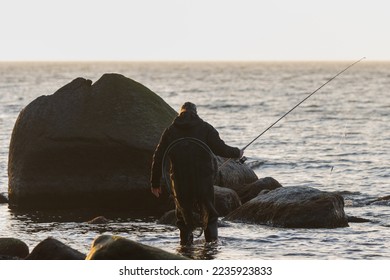Angler in waders with spinning rod in shallow water as sea trout fishing concept. - Shutterstock ID 2235923833