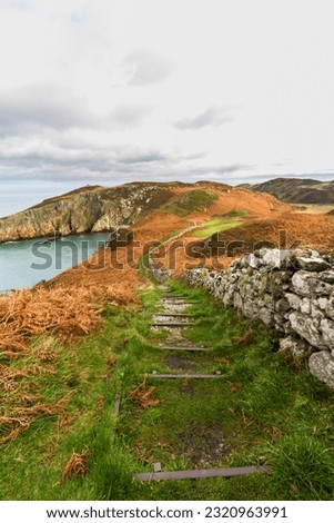 Anglesey North Coastal Path, Wales. Autumn or fall path with remains of dry stone wall, and sea in distance, portait, wide angle