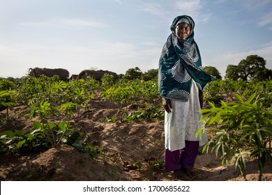 Angoche District, Nampula/ Mozambique - 11.17.2015: A cassava farmer stands for a portrait next to her crops outside of a poor village in Northeast Mozambique.