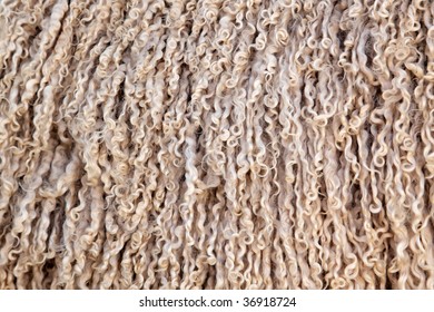 Angora Goat Wool (mohair) Background