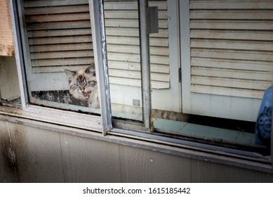 Akward Images, Stock Photos u0026 Vectors  Shutterstock