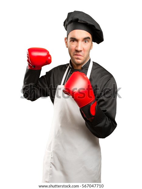 Angry Chef Using Boxing Gloves 스톡 사진 567047710 | Shutterstock