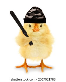 Angry chick hooligan delinquent bully criminal with fighting baton funny conceptual image. Bullying problem or troublemaker concept - Shutterstock ID 2067021788