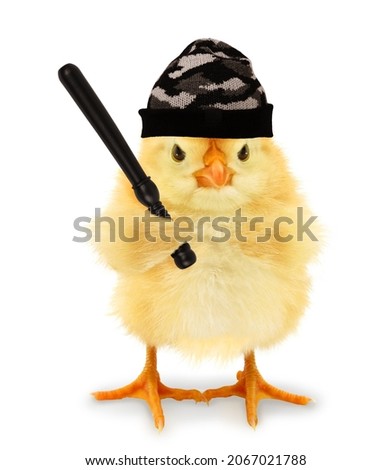Angry chick hooligan delinquent bully criminal with fighting baton funny conceptual image. Bullying problem or troublemaker concept