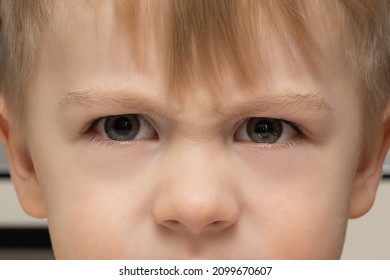 Angry And Displeased Little Blond Boy 3 Years Old Close-up