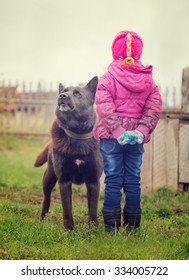 Angry Dog Stares At A Fearless Child.