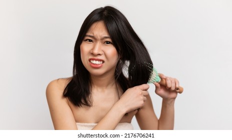 Angry Japanese Lady Having Problem Of Her Thick Hair While Using Hair Brush, Looking At Camera And Combing Hair Over White Background, Panorama. Dry, Frizzy, Damaged Hair Concept