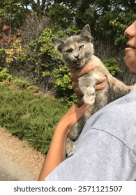 she’s an angry kitty here
