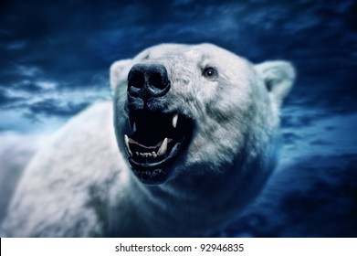 Angry Polar Bear With Sharp Teeth