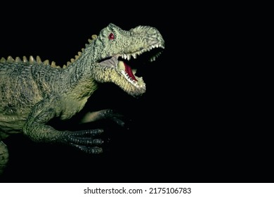 The Angry Raptor Attacks. Toy Carnivorous Dinosaur On A Black Background. Prehistoric Predatory Dinosaur