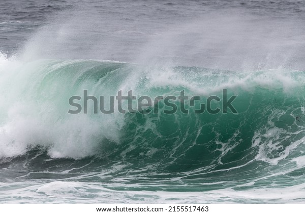 An angry teal green color massive rip curl of a wave\
as it barrel rolls along the ocean. The white mist and foam from\
the wave are foamy and fluffy. The ocean spray is coming off the\
top of the wave