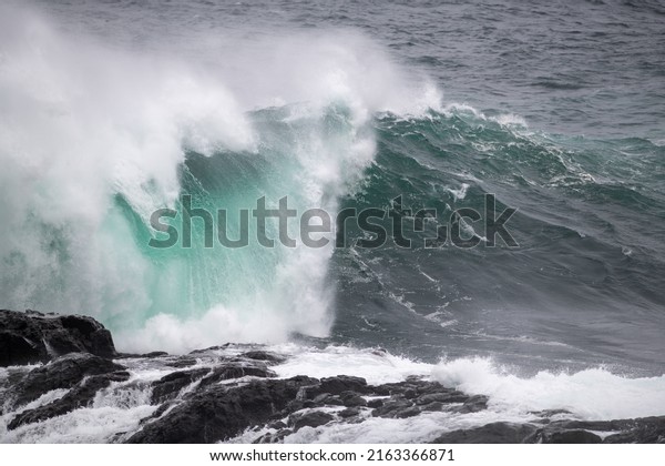 An angry teal green color massive rip curl of a wave\
as it barrels rolls along the ocean. The white mist and froth from\
the wave are foamy and fluffy. The ocean spray is coming off the\
top of the wave