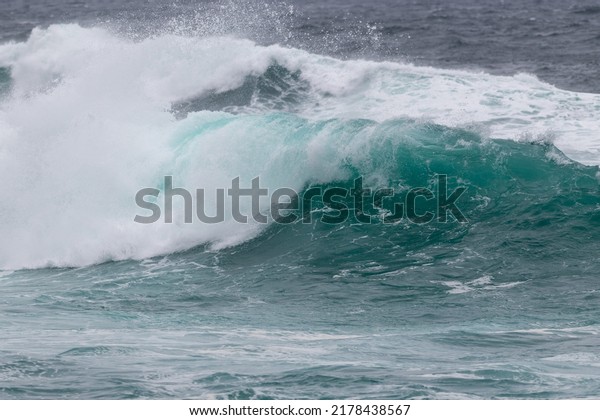 An angry teal green color massive rip curl of a wave\
as its barrels roll along the ocean. The white mist and froth from\
the wave are foamy and fluffy. The ocean spray is coming off the\
top of the wave