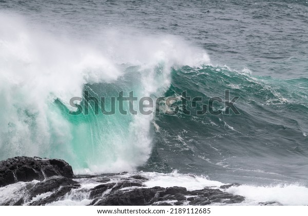 An angry turquoise green color massive rip curl of
a wave as it barrels rolls along the ocean. The white mist and
froth from the wave are foamy and fluffy. The ocean in the
background is deep blue. 