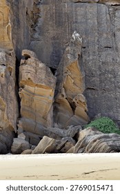 Angular sandstone cliffs rise above a sandy shoreline, their brown, tan, and grey layers marked by cracks, erosion lines, and rugged textures. Large boulders rest at the base while a patch of green vegetation clings to the rock, contrasting with the smooth, pale beach in the foreground and creating a vivid portrait of natural coastal geology.