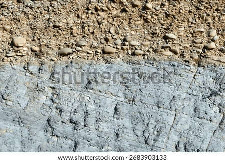 Angular unconformity between Eocene marine lutites and Pleistocene continental conglomerates, sandstones and shales (Boltaña, Huesca, Spain).