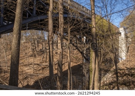 Angular View of Vale of Avoca (Bridge) in Midtown Toronto from Beneath Behind Trees