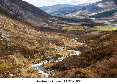 Angus, Aberdeenshire, Scotland, UK.