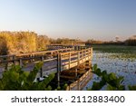 Anhinga Trail Boardwalk through the Everglades National Park, Florida, USA.