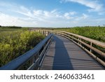 Anhinga Trail elevated boardwalk over wetlands of Everglades National Park, Florida on sunny summer day..