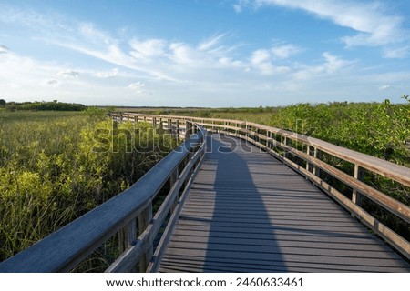 Anhinga Trail elevated boardwalk over wetlands of Everglades National Park, Florida on sunny summer day..