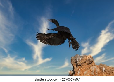 Anhingidae - 
Another Name Is Snake-necked Bird