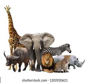 Similar Images, Stock Photos & Vectors of A group of animals are ...