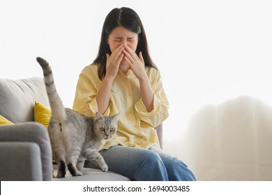 Animal Allergy Concept, Fur And Pet Allergic Woman Cover Her Nose While Cough And Sneeze And Avoid To Enclose The Pet And Cat Or Animal At Home.