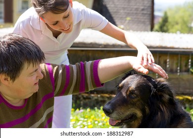 Animal Assisted Therapy With A Half Breed Dog