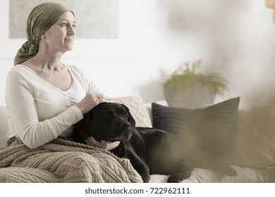 Animal Assisted Therapy Reducing Stress In Grandmother With Cancer Sitting With Dog On Sofa