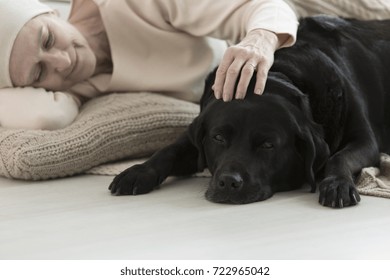 Animal Assisted Therapy Reducing Stress In Elderly Woman With Cancer Sleeping With Dog On Carpet