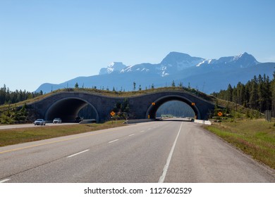 Animal Crossing Bridge Across Trans-Canada Highway In Banff National Park, Alberta, Canada.