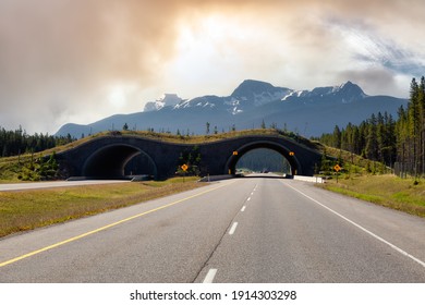 Animal Crossing Bridge Across Trans-Canada Highway In Banff National Park, Alberta, Canada. Colorful Sky Art Render