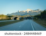 Animal Crossing Bridge on Trans Canada Highway, Banff National Park. Alberta, Canada.