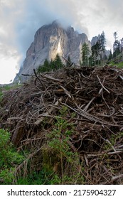 Animal Den In The Italian Alps