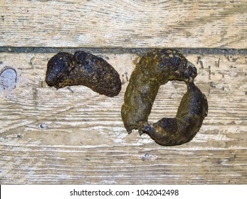 Animal Doo Excreta On Wooden Floor Stock Photo 1042042498 | Shutterstock