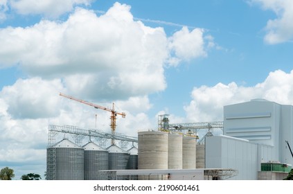 Animal Feed Factory Construction Site. Agricultural Silo At Feed Mill Factory. Tank For Store Grain In Feed Manufacturing. Seed Stock Tower For Commercial Animal Feed Production. Animal Food Industry.