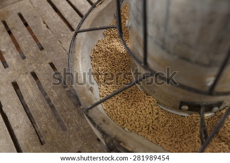 animal feed in the farm