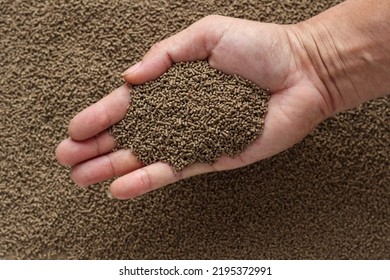 Animal feed mixed from finely ground protein powders of both plants and animals is pelleted to be used as pet food because pellets are convenient and accurate in feeding quantity.Copy Space background - Shutterstock ID 2195372991
