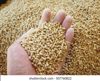 Animal feed review
 - Shutterstock ID 507760822