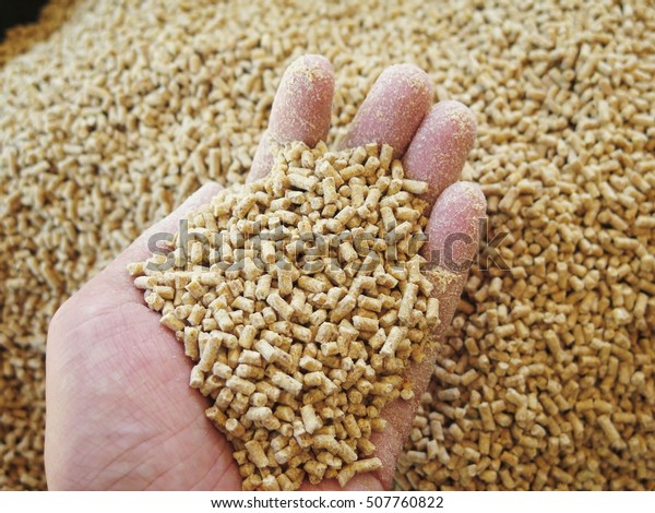 Animal Feed Review Stock Photo (Edit Now) 507760822