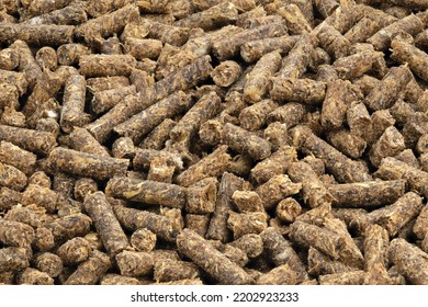 Animal Feed. Sunflower Granulated Feed  On White Background, Close-up. Animal Cattle Food Pellets. Heap Of Animal Feed Pellets  On White Background.