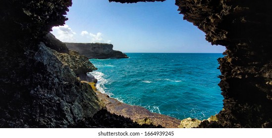 Animal Flower Caves Within Barbados